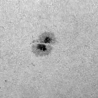 � M. Neuerer; Sonne am 5.07.2001 - Die Aufnahmen sind mit einem 180er TMB Apo (abgeblendet auf 140 mm / schlechtes seeing) gemacht. Als Kamera diente eine Nikon Coolpix 880 Digitalkamera mit 6 mm LV Okular.