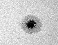 � M. Neuerer; Sonne am 17.07.2001 - Die Aufnahmen sind mit einem 180er TMB Apo (abgeblendet auf 140 mm / schlechtes seeing) gemacht. Als Kamera diente eine Nikon Coolpix 880 Digitalkamera mit 6 mm LV Okular.