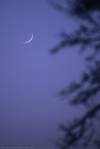 � P. Wienerroither; Mond am 25.2.2001, Sofienalpe bei Wien. 56 Std. nach Neumond. Canon EOS, 300mm, Belichtungsautomatik, Kodak Elite 100.