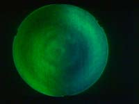 � W. Rohr; Synta Objektiv 150 mm / 1200 mm, nach der Behandlung Foucault-Test: blaugr�n