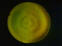 � W. Rohr; Synta Objektiv 150 mm / 1200 mm, nach der Behandlung Foucault-Test: gelbgr�n