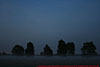 � N. Kloth; 8. IHT-Reinsehlen vom 26. - 28. September 2008: Langsam zieht Nebel auf.