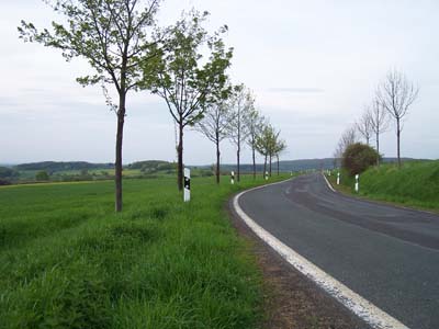 � N. Kloth 2005