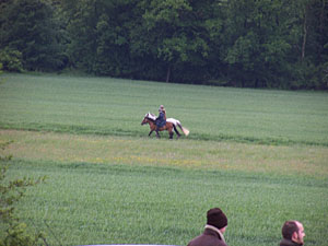� N. Kloth 2006