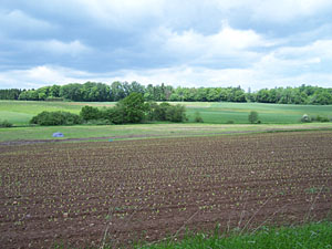 � N. Kloth 2006